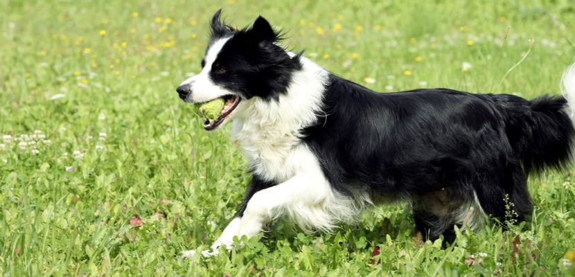 « Guide ultime pour les passionnés d’énergie : conseils et astuces pour un mode de vie dynamique »