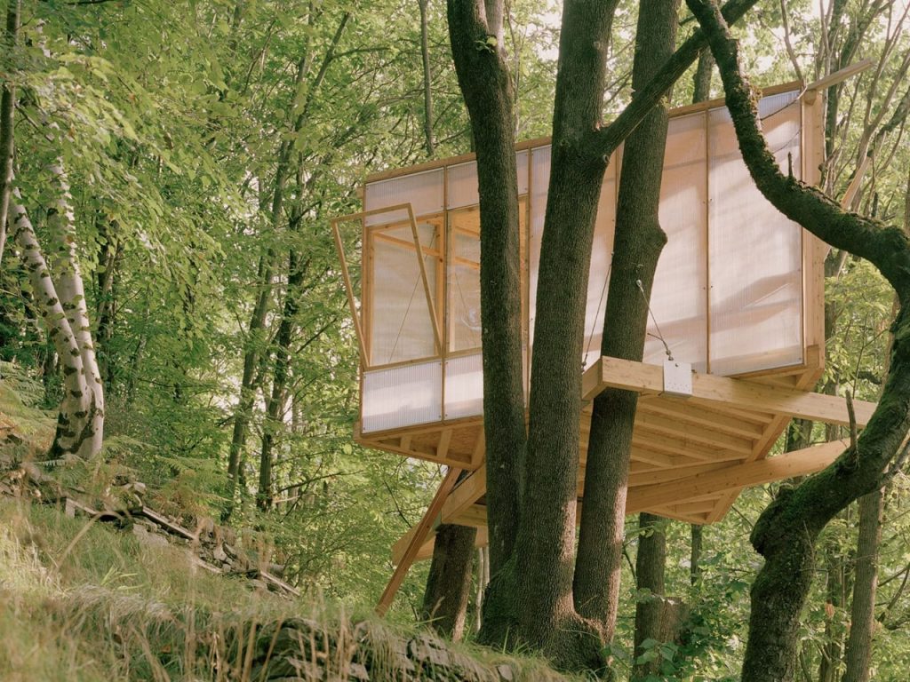 Découvrez ce Studio d’Écriture Insolite en Cabane dans les Chênes Suisses : Un Paradis Autonome au Coeur de la Vallée !