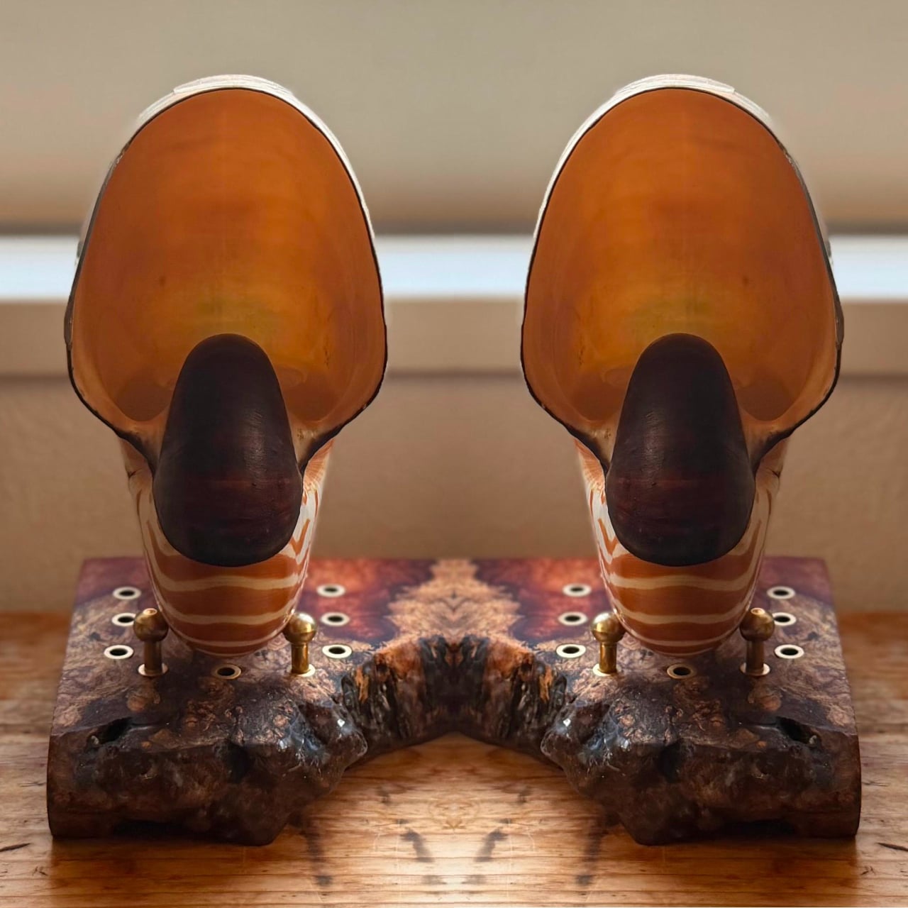 Image du Steampunk Nautilus