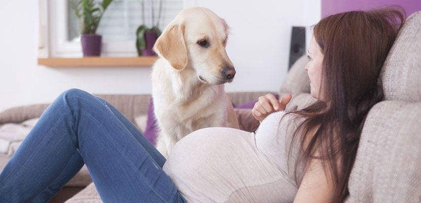 Comment les femmes vivent et perçoivent leur gestation : un voyage émotionnel et physique inédit