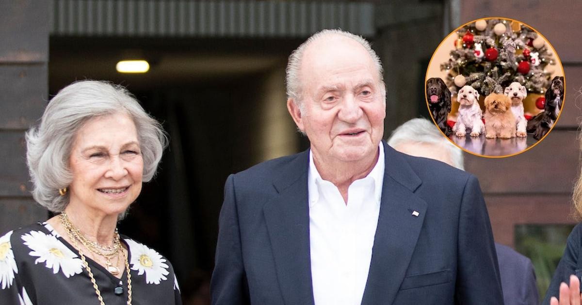 felicitacion navidena con perros de los reyes emeritos felicitacion navidena con perros de los reyes emeritos