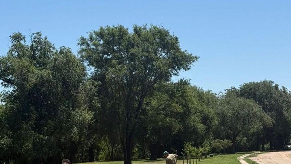 Le municipio a mis en terre plus de 1.350 arbres en seulement deux mois : un engagement pour l’environnement.