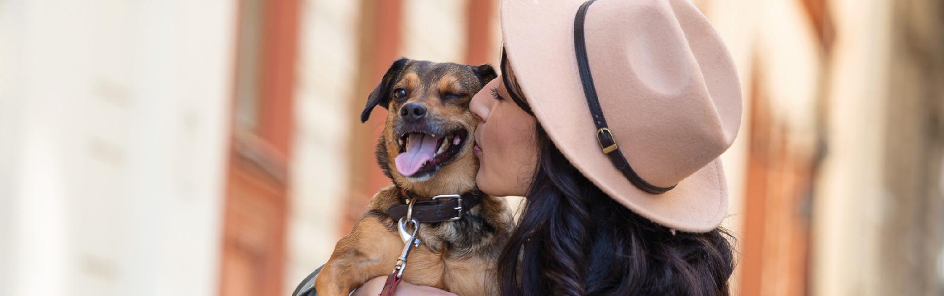 Locales dog friendly à Bilbao