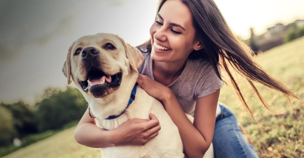 Promenades parfaites : guide complet pour sortir avec votre chien