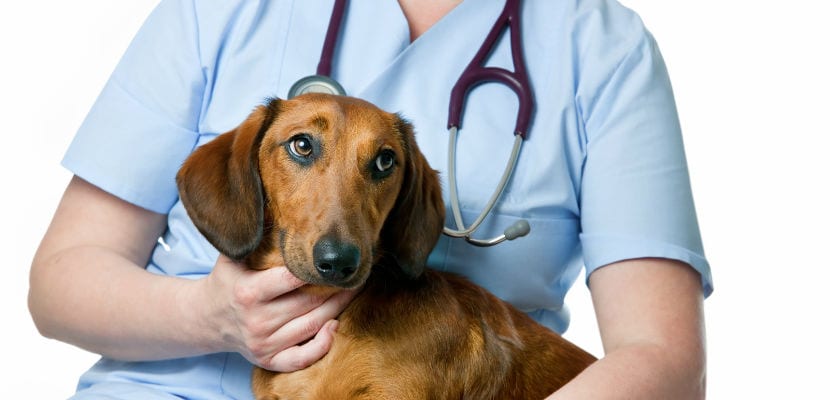 Causes, symptômes et diagnostic : tout sur le traitement efficace de votre maladie.