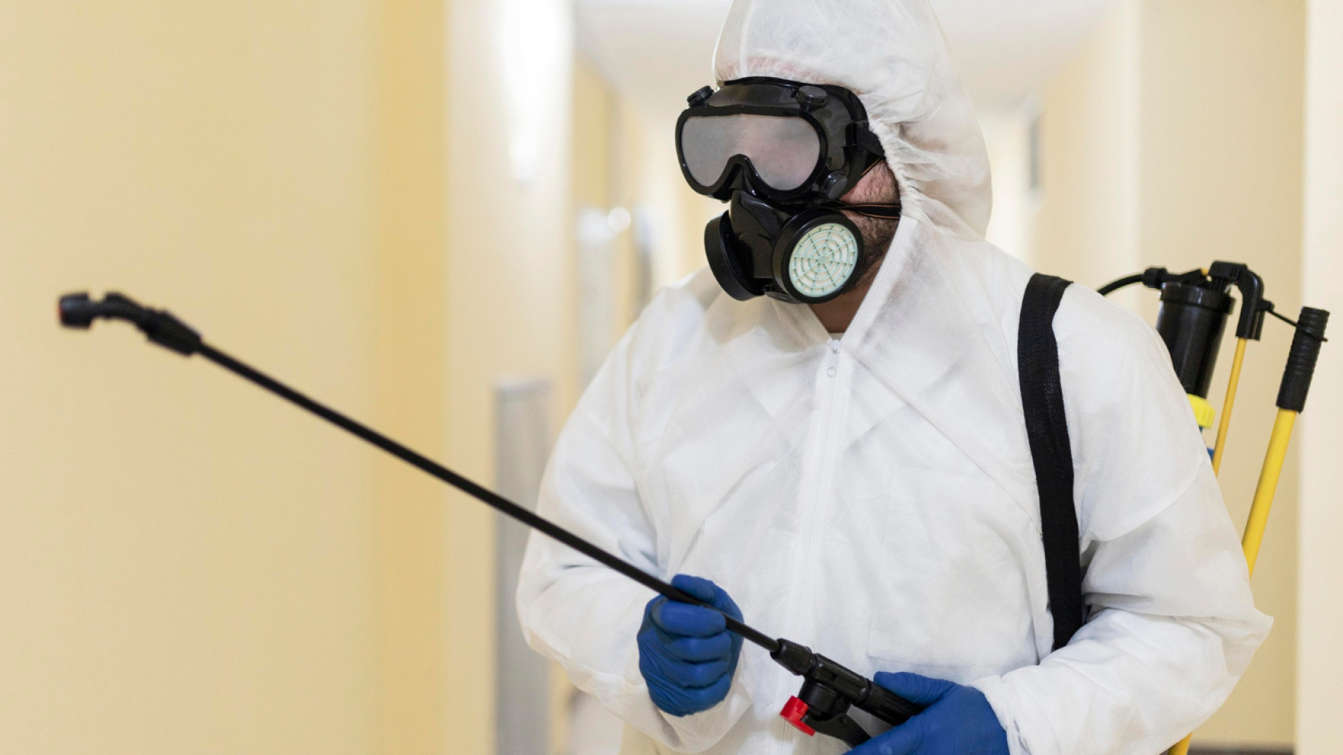 Anti-cafards à Paris : l’expertise professionnelle contre les nuisibles