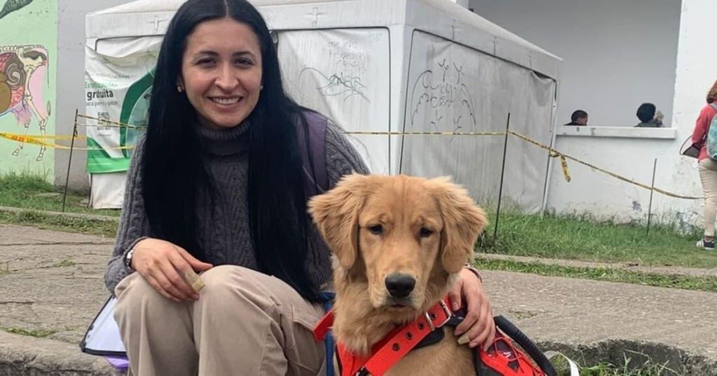 Campagnes innovantes pour contrôler la surpopulation canine et féline : solutions durables et responsables