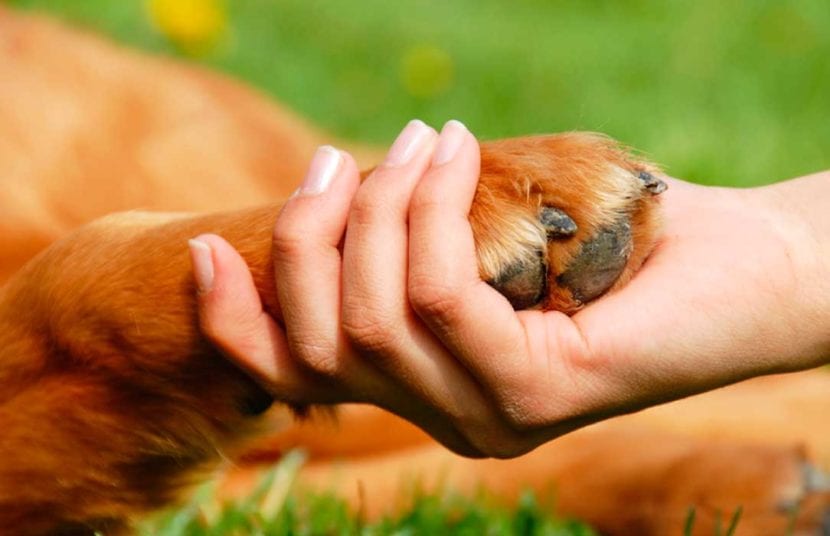 « Guide complet : conseils et trucs essentiels pour optimiser votre expérience »