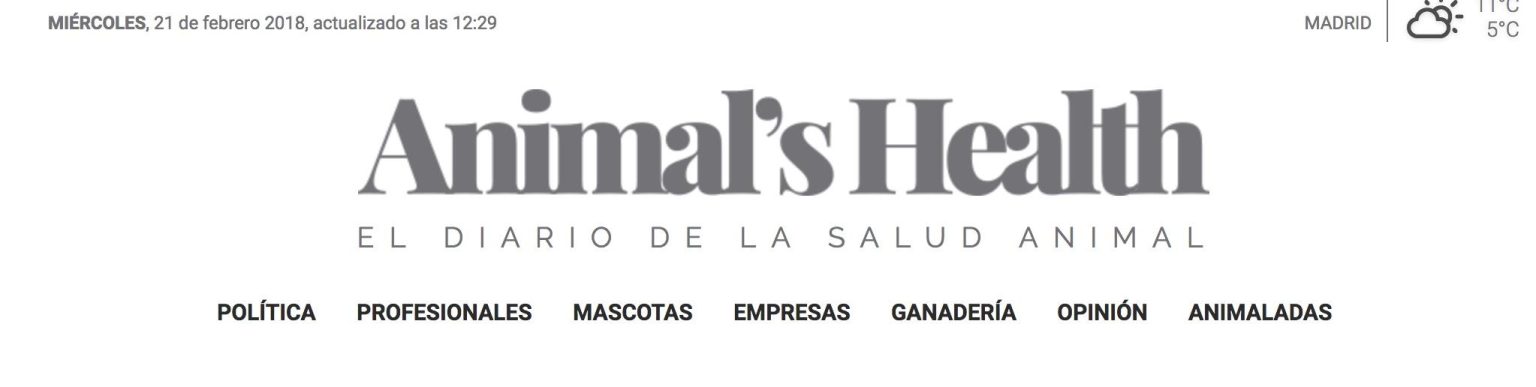 Guide complet de bien-être animal : explorez notre périodique digital sur la santé et le bonheur des animaux