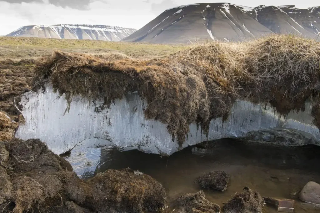 Risques cachés sous la glace : stratégies pour naviguer en toute sécurité sur des surfaces gelées