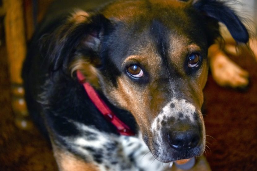 « Comprendre les causas, symptômes et soins essentiels pour une meilleure santé »