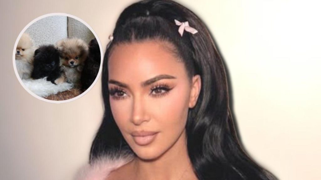 Kim Kardashian crée le débat en offrant quatre chiots à ses enfants : un geste controversé pour la famille de stars
