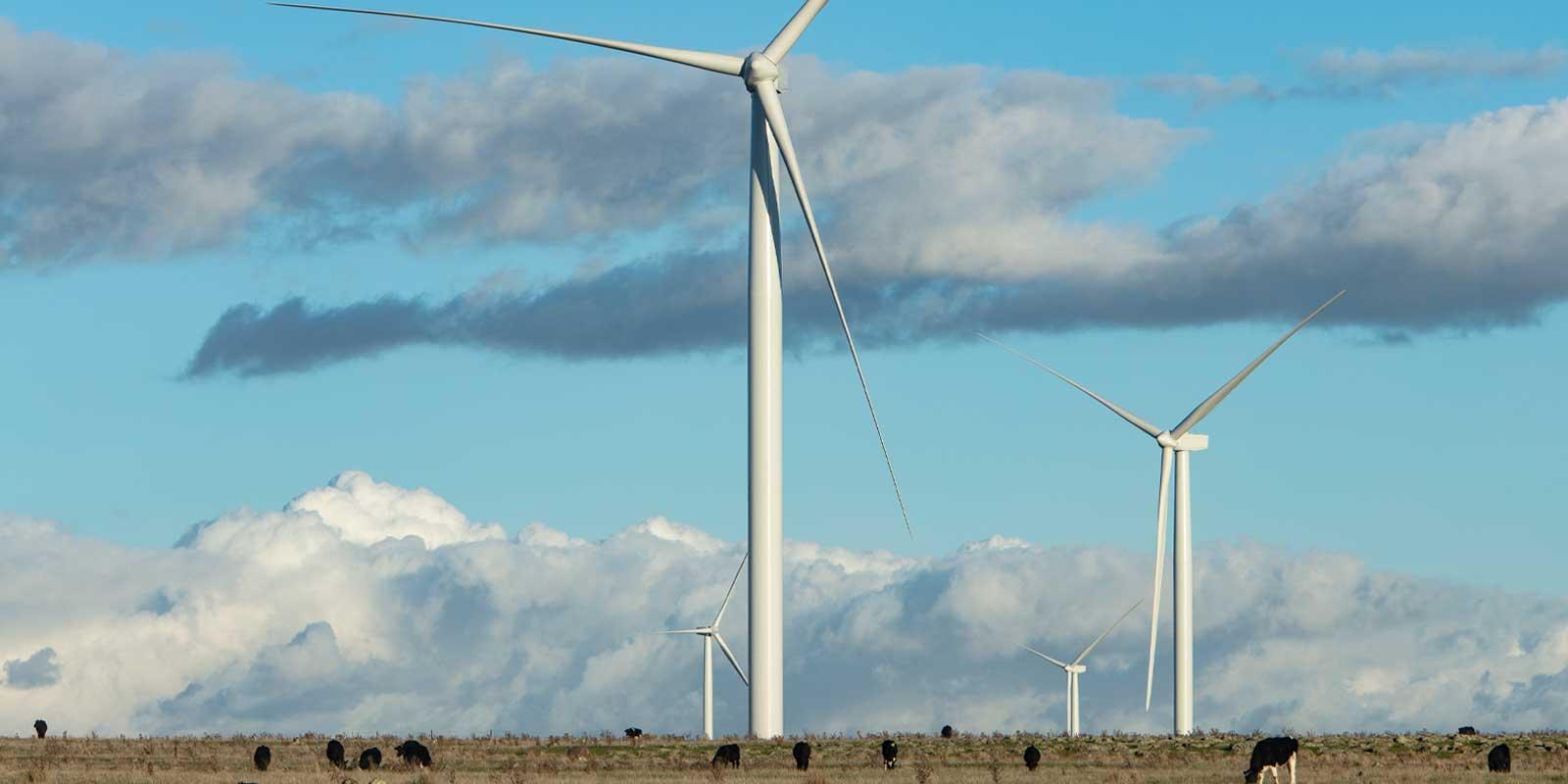 Parcs éoliens associés à des contrats PPA