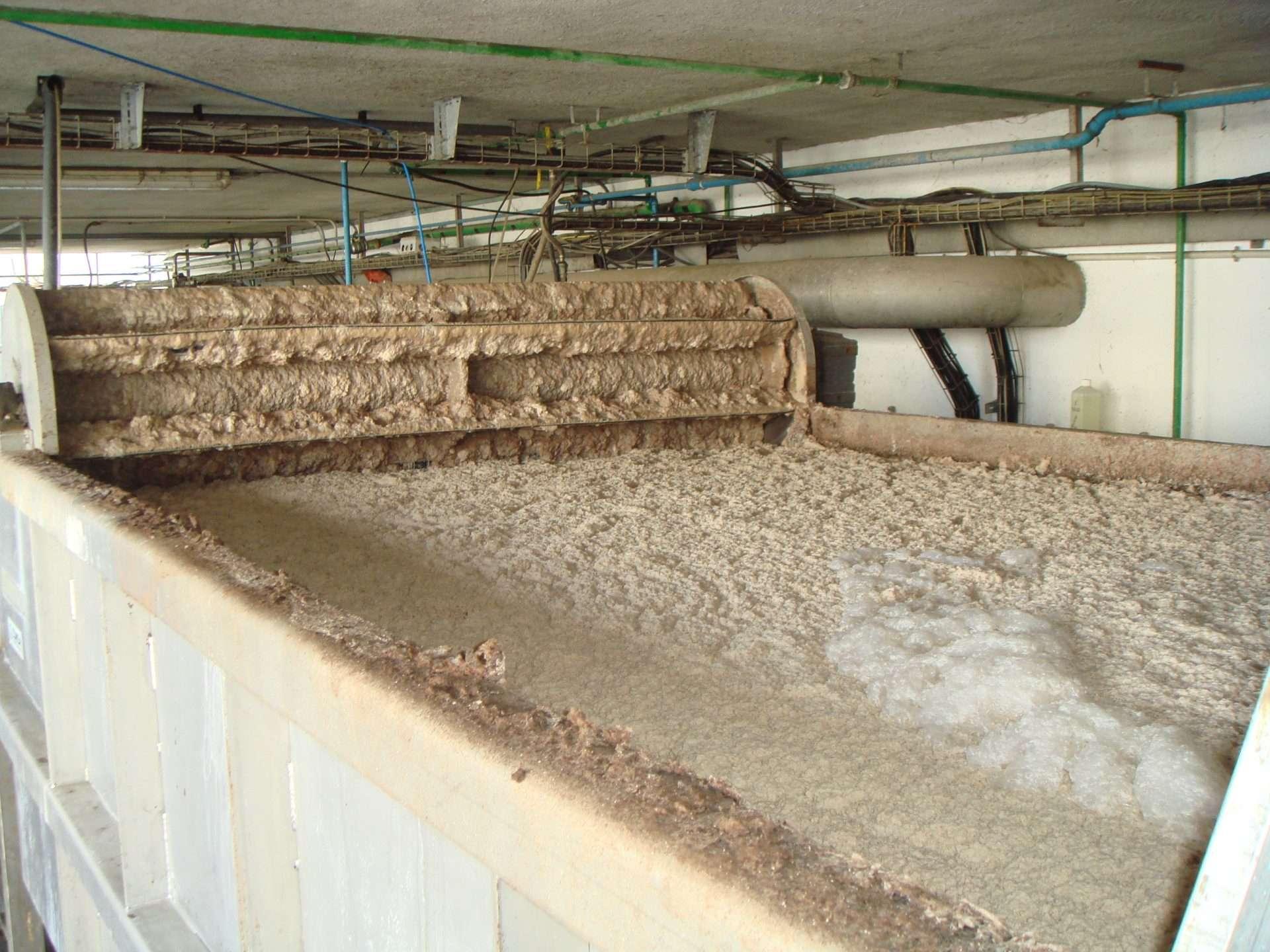 Biotechnologie appliquée aux déchets laitiers