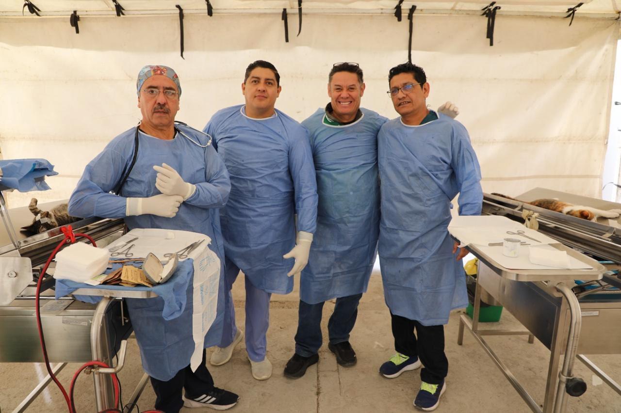 Brigades vétérinaires en colonie