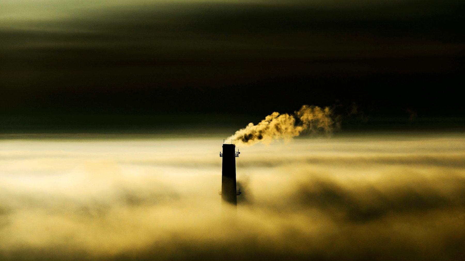 Día Mundial de la Reducción de CO2