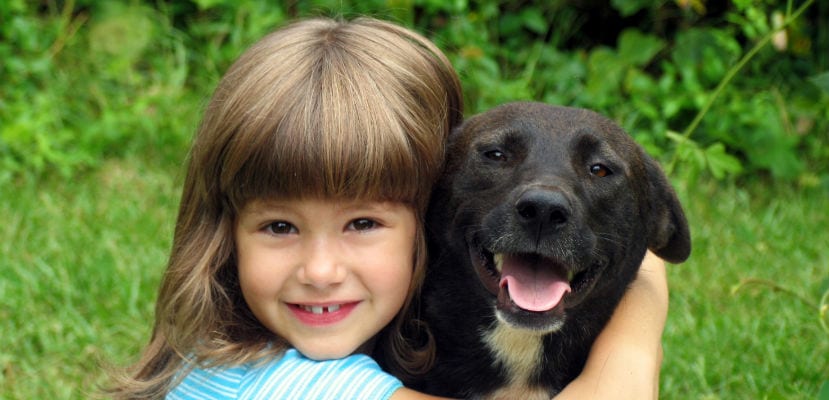 Convivencia armónica: consejos para la relación respetuosa entre niños y perros