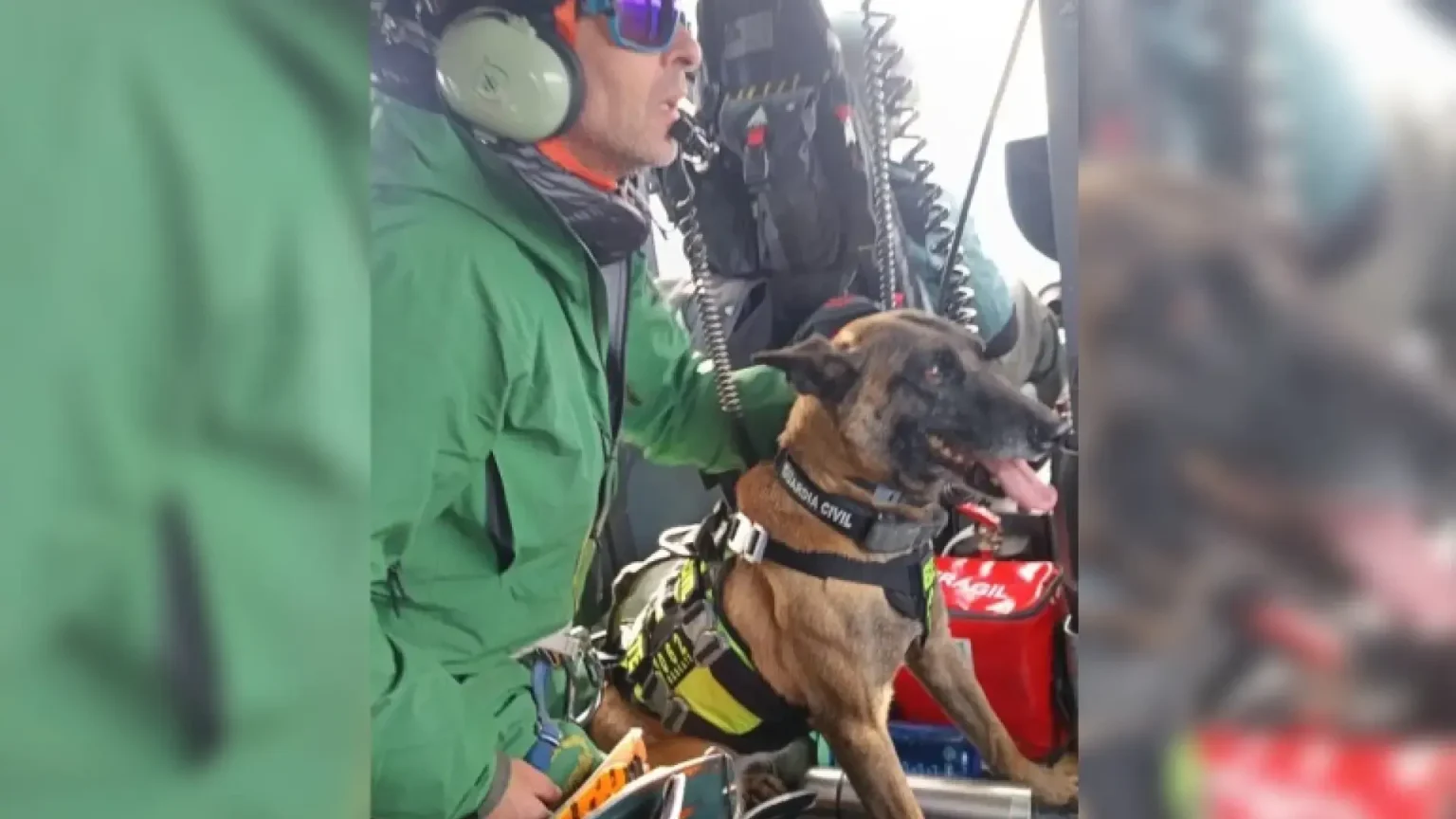 Unkar, le héros canin des secours en aludes qui ne recule devant rien