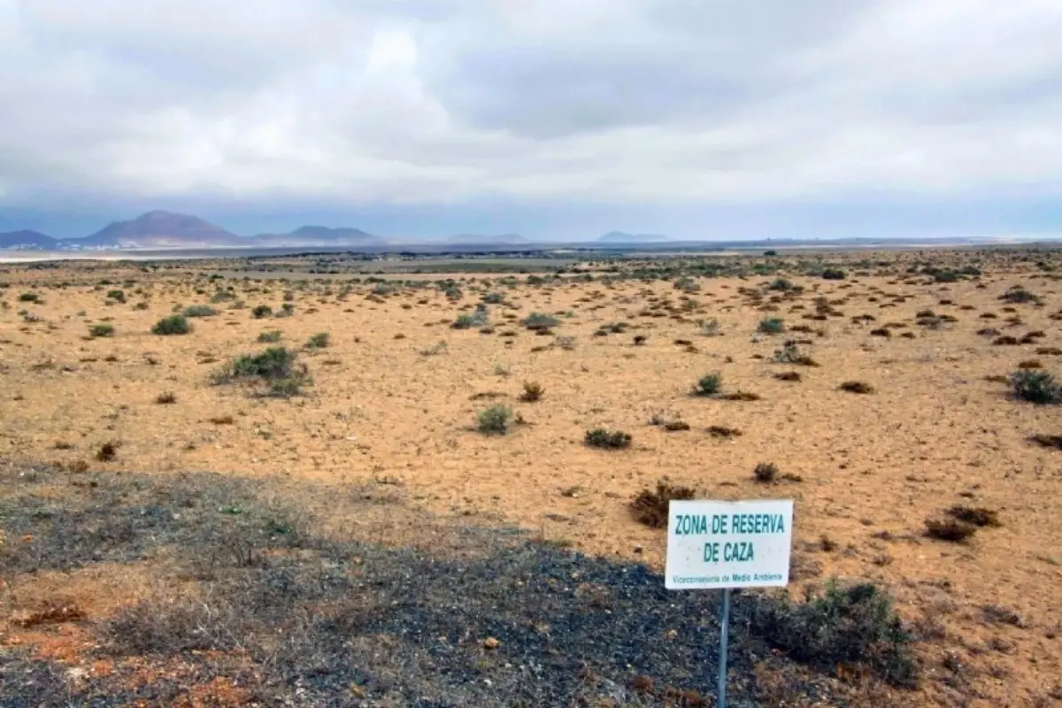 Manifestation contre la chasse avec des chiens