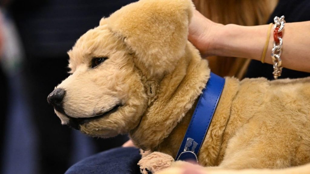 Risques, rescates et nouvelles stratégies de compagnies : naviguer vers un avenir plus sûr et innovant.