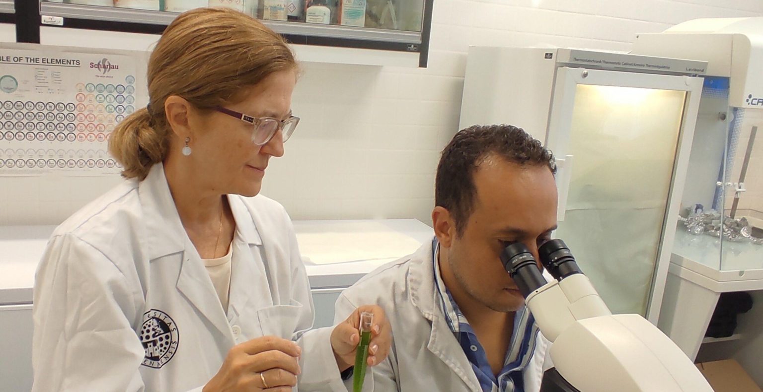 Residu en ressources précieuses : transformez vos déchets en valeur ajoutée.