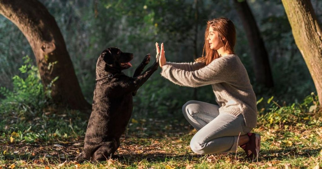 Convivialité et santé : comment la vie en communauté améliore votre bien-être