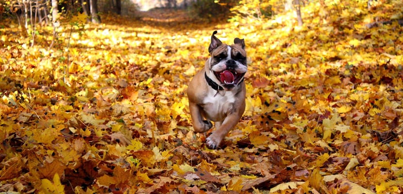 Protéger votre santé : guide essentiel pour un bien-être durable et sécurisé