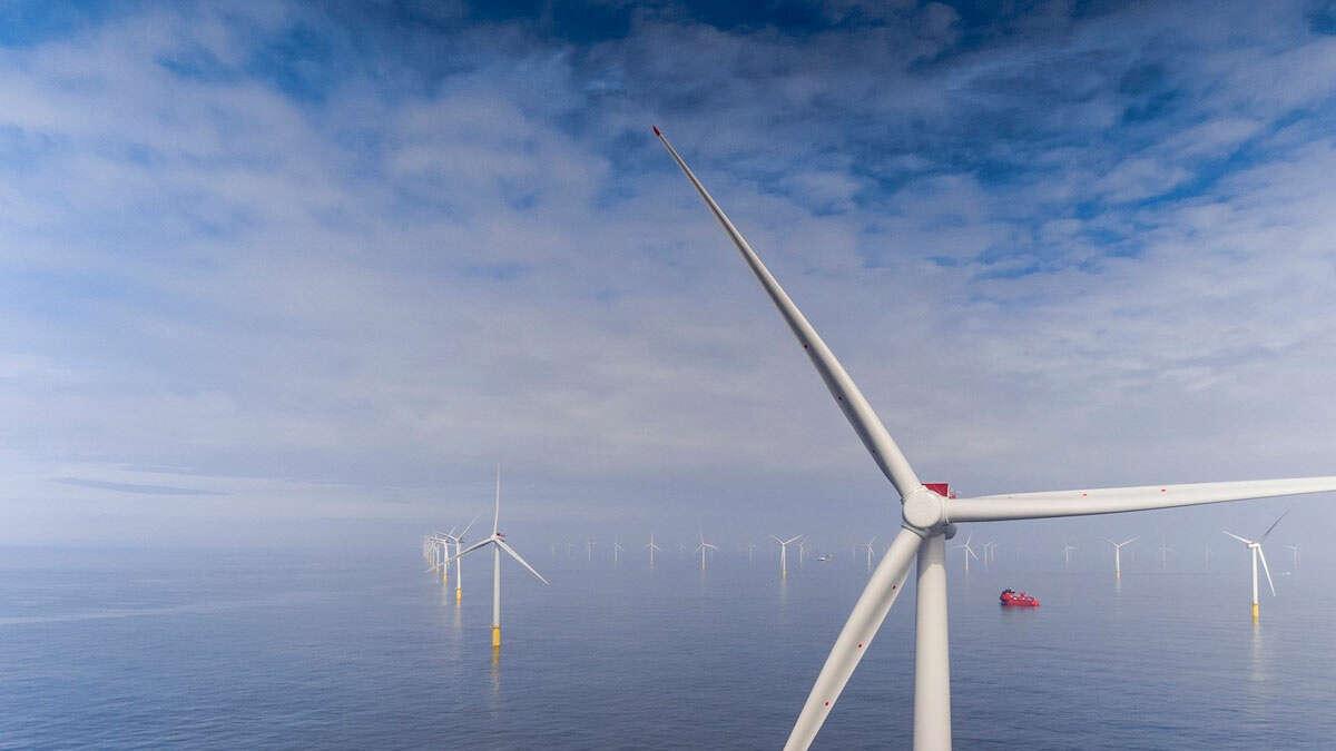 Eólica marina y subasta competitiva