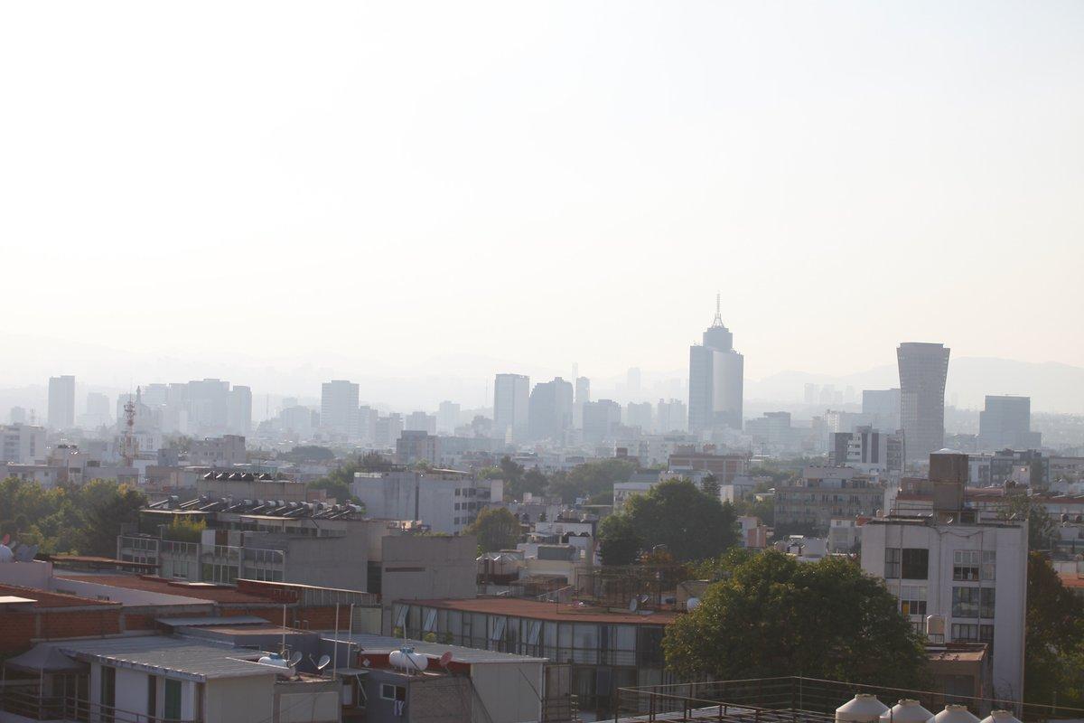 biodiversité marine dans le port