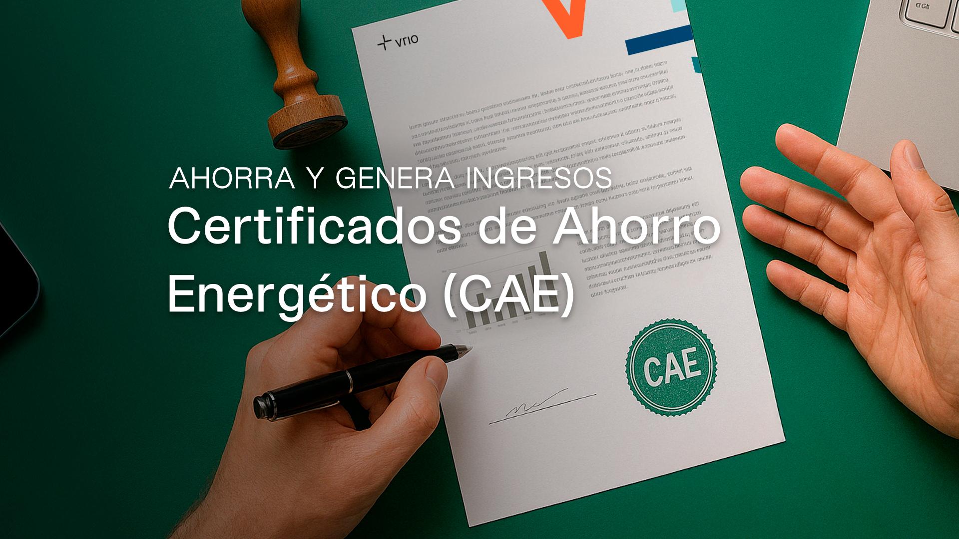 Marché des Certificats d'Économie d'Énergie