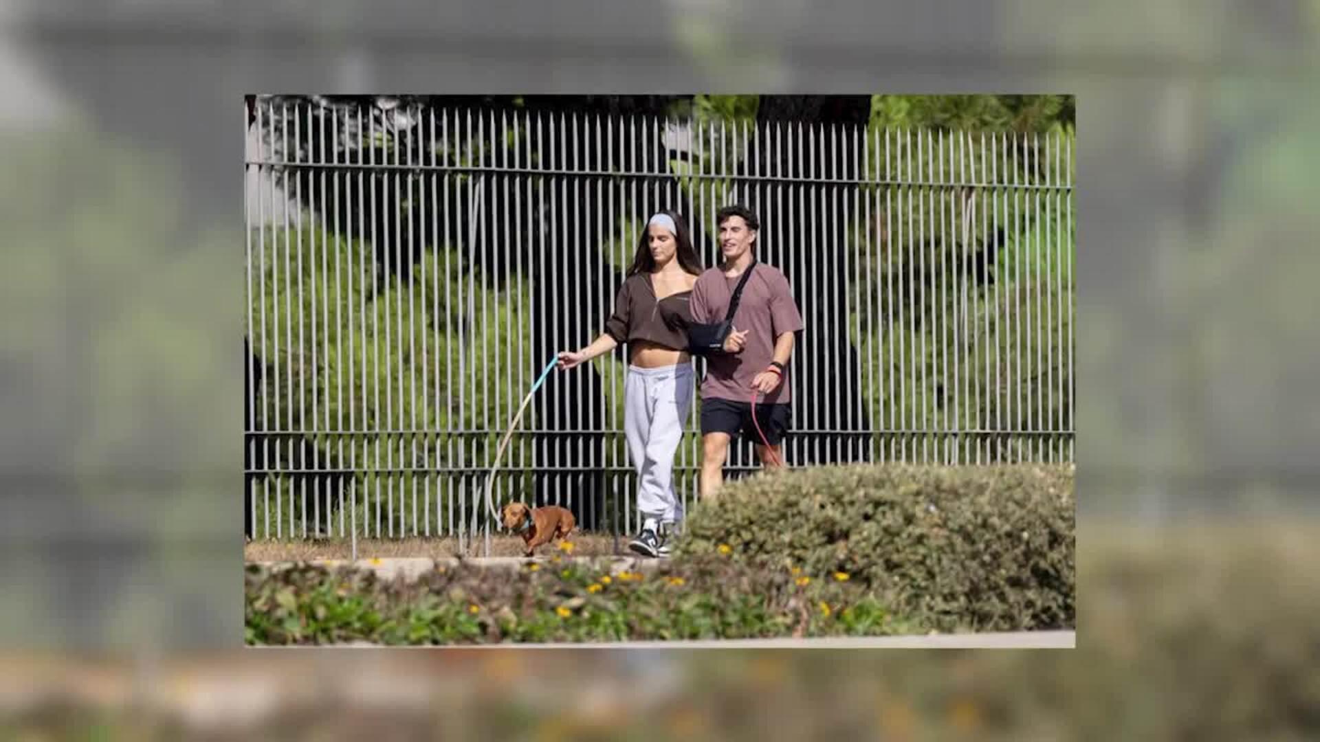 Adoption responsable de chiens