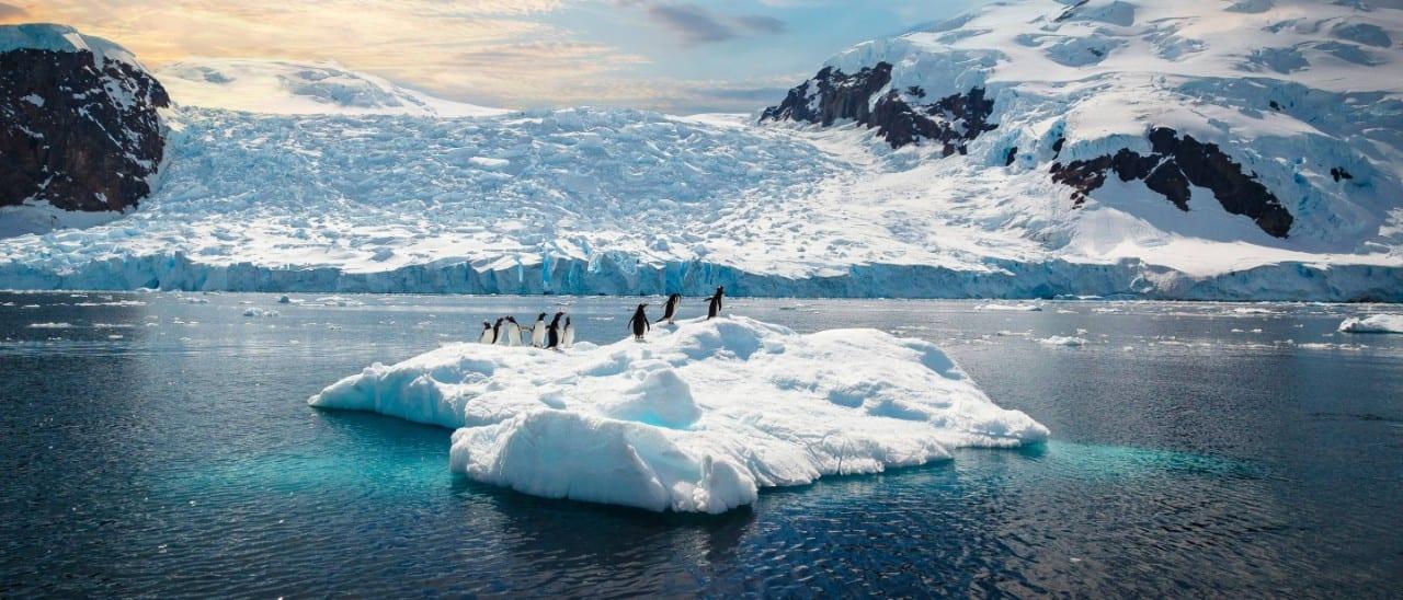 Pasajeros contemplando paisajes antárticos