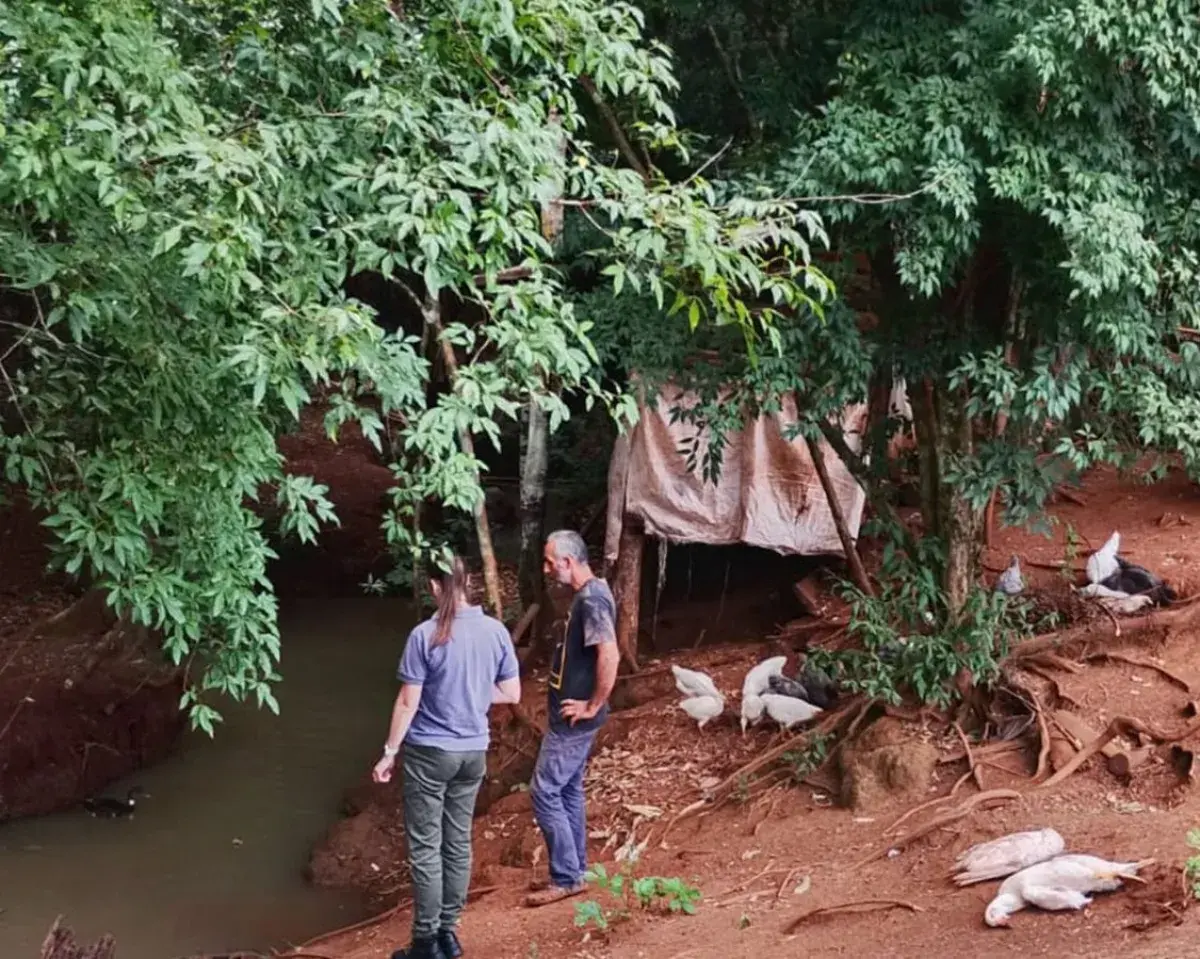 contaminacion hidrica en Colonia Oasis