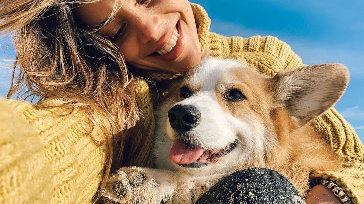 Perros en países con plus grandes populations