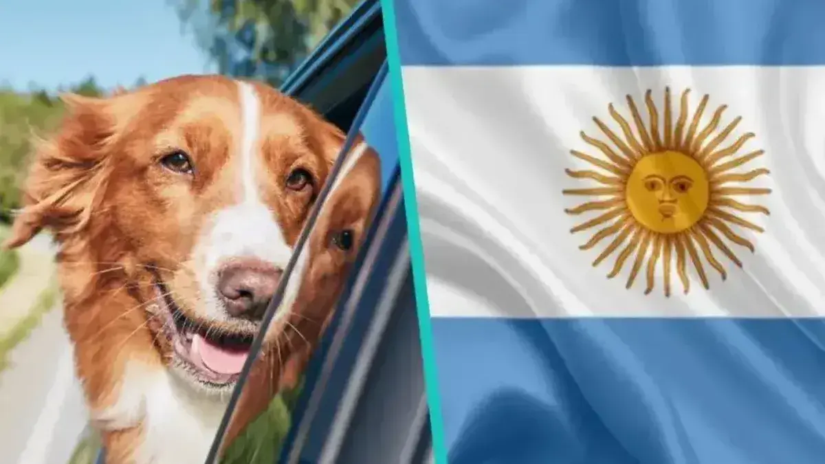 Classement mondial des chiens par pays