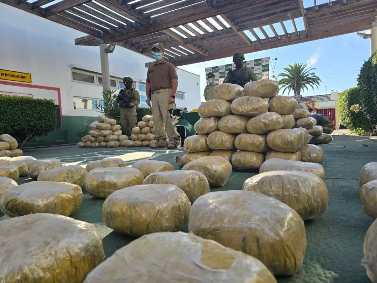 Cachorro del OS7 en operativo antidroga