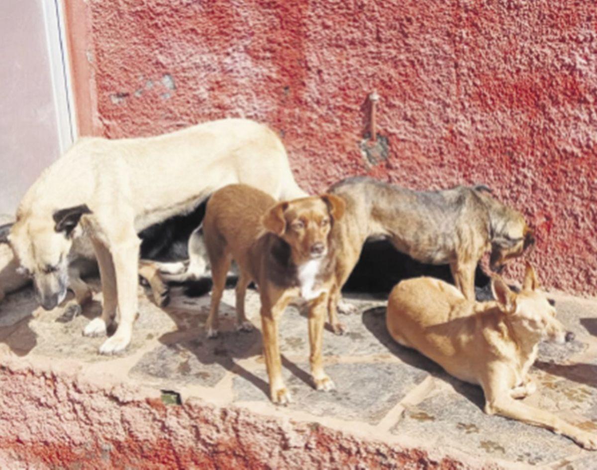 Refugio del Ravelo en Tenerife