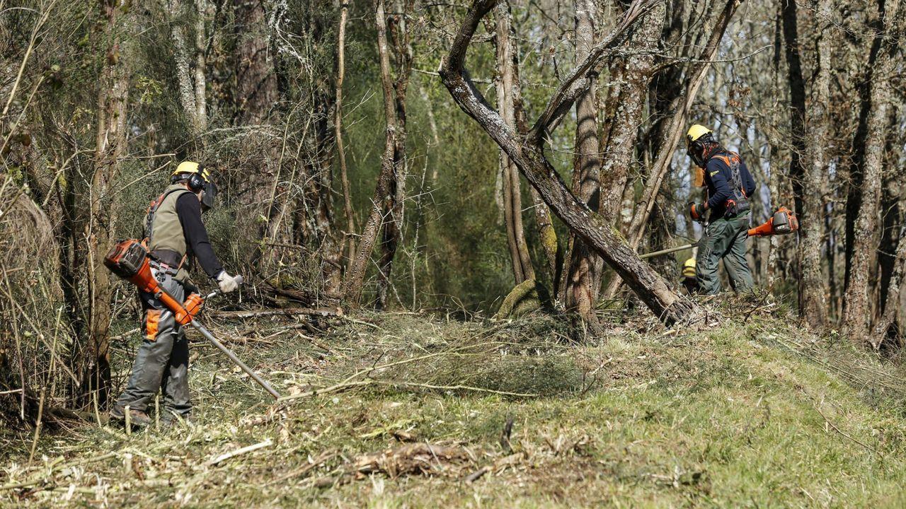 convenio de la biomasa en Galicia
