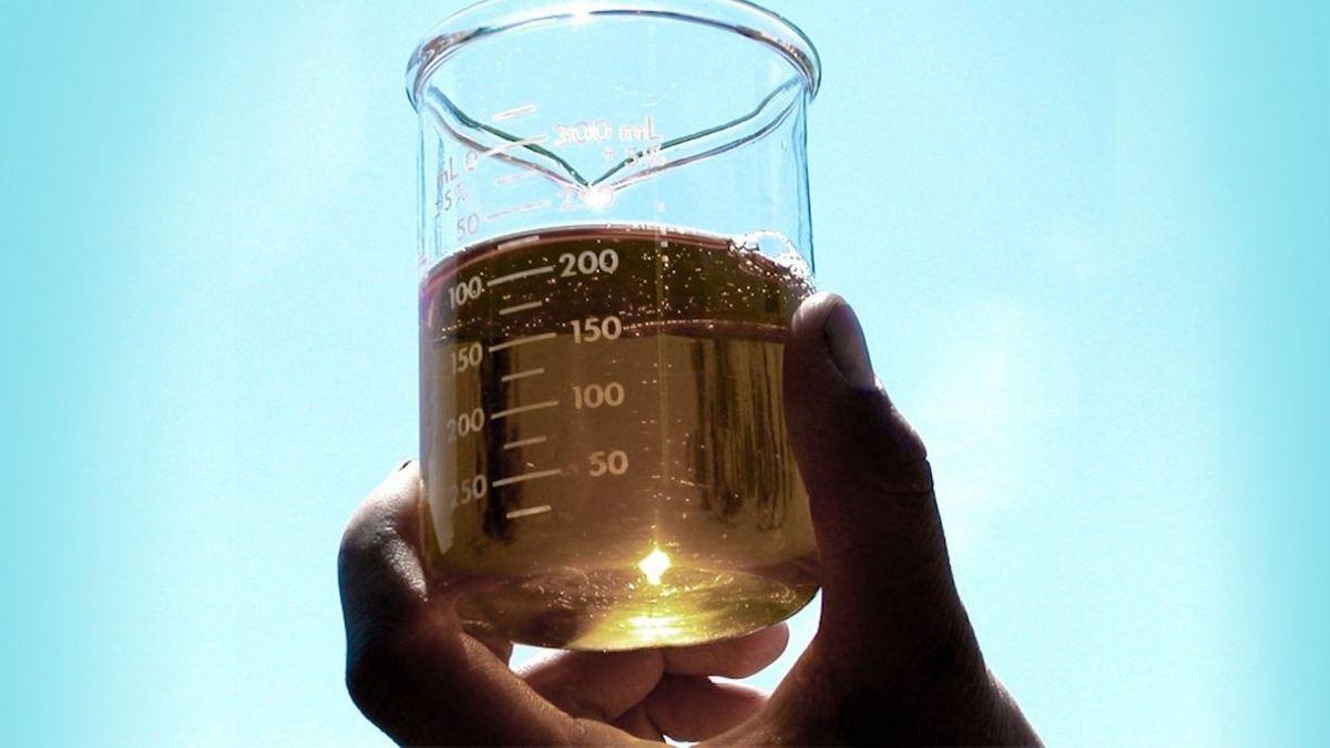 Biodiésel de soja y Union Européenne