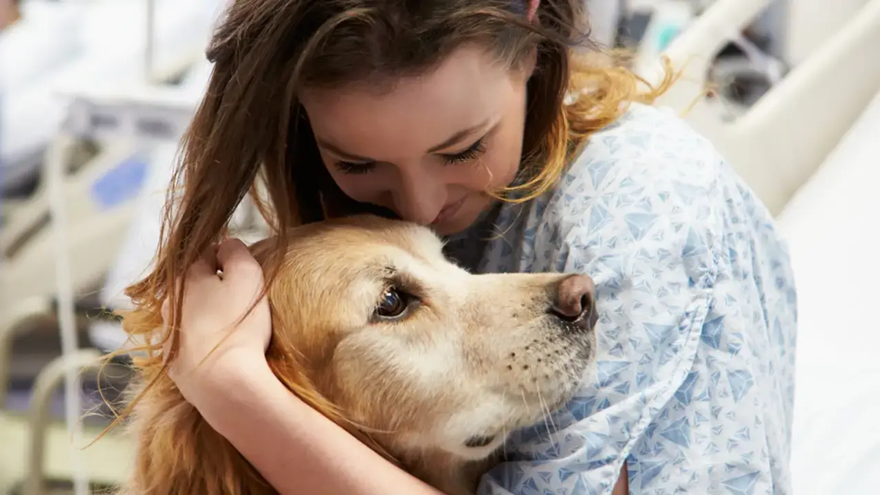 Études sur les chiens détectant le Parkinson