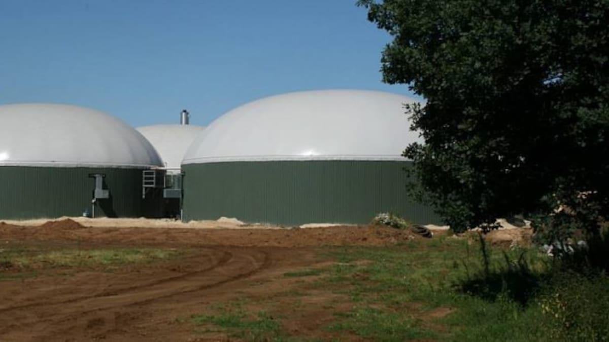 Proyecto de planta de biogás en Campos del Paraíso