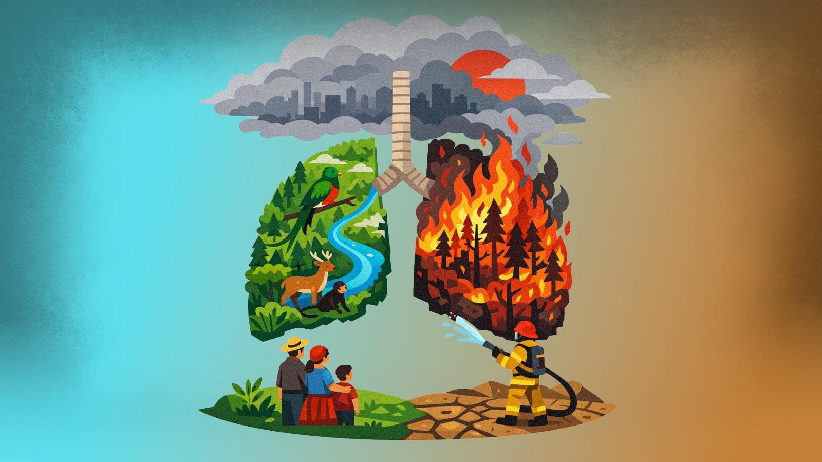 Prévention des incendies forestiers