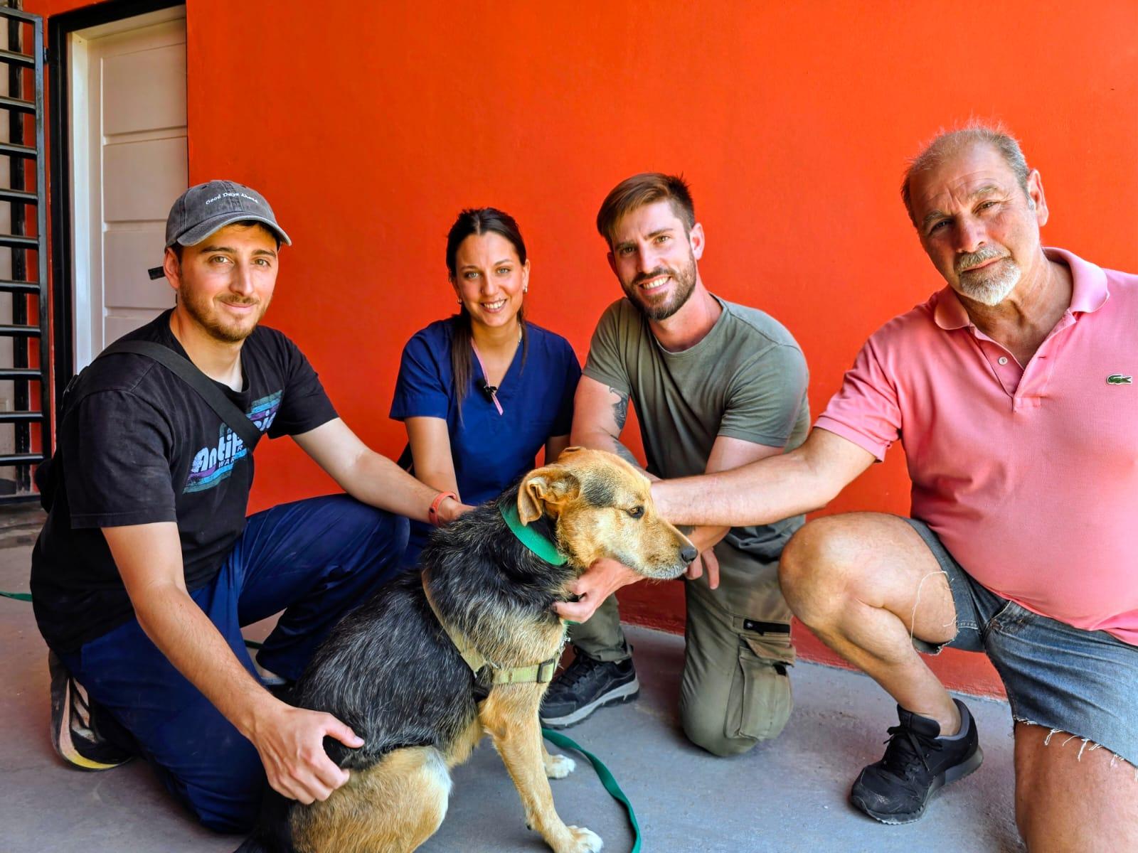 tenencia responsable de perros potentiellement dangereux