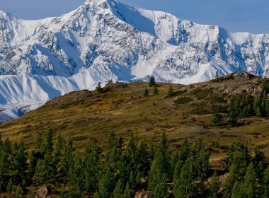 Pourquoi choisir la pureté premium du Shilajit de l'Altaï ?