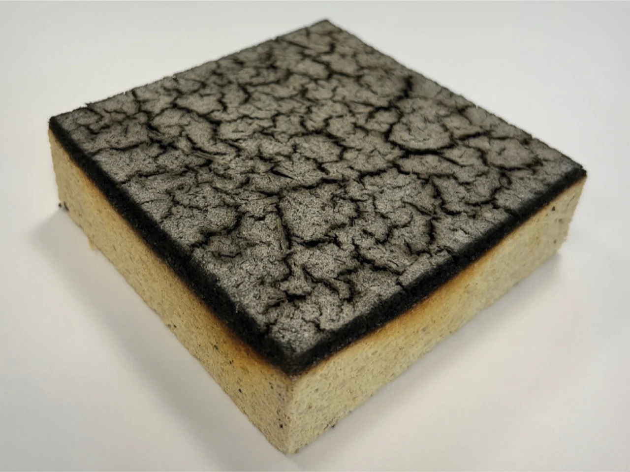 Procédé de transformation de la sciure