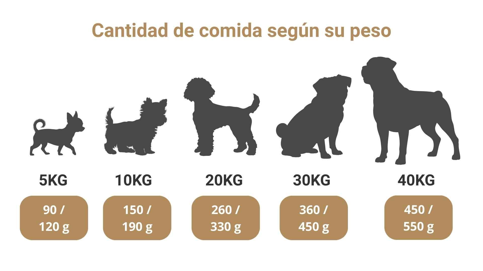 rations recommandées pour chien Chihuahua rations recommandées pour chien Chihuahua