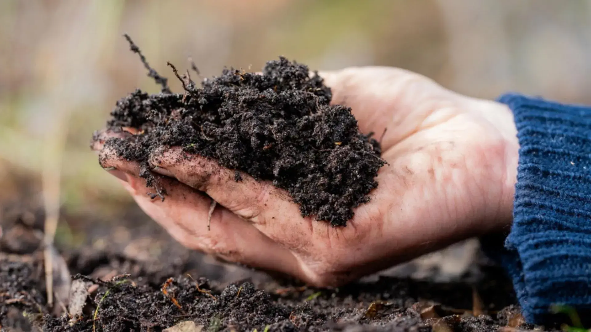 Fertilisants sans émissions de carbone