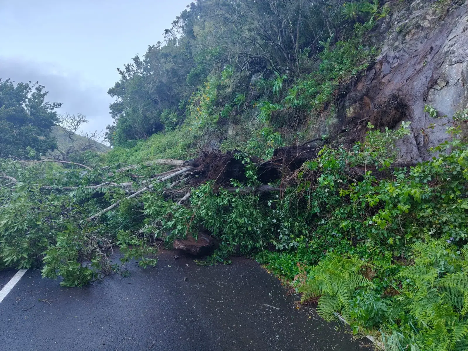 impact de la tempête Therese en Canaries