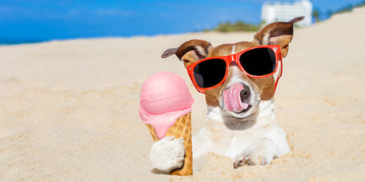Helados pour chiens en Europe