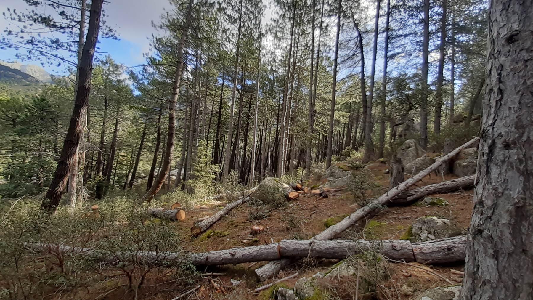 Restauration de huecos mineros et haute montagne